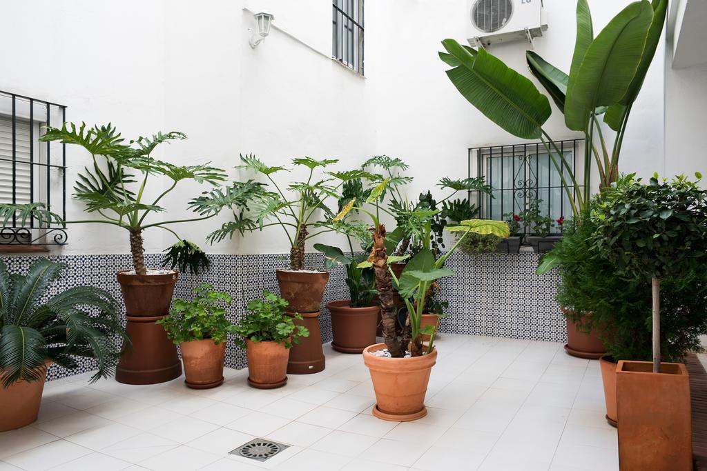 Urbanchicmalaga 3 Bedroom Spacious Quiet Historic Malaga Apt Экстерьер фото